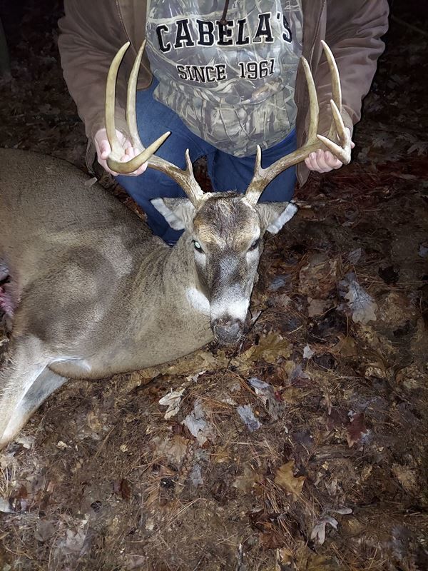 Monroe County bow